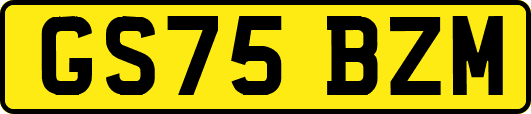 GS75BZM