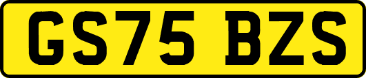 GS75BZS