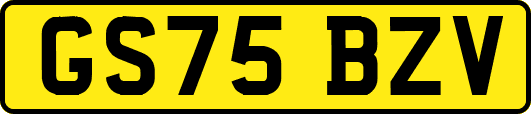GS75BZV