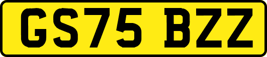GS75BZZ