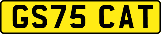 GS75CAT