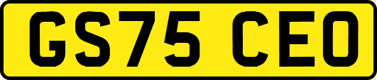GS75CEO