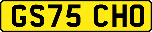 GS75CHO