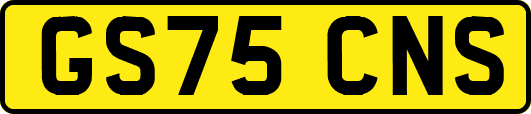 GS75CNS