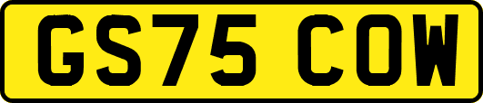 GS75COW