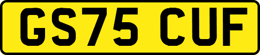 GS75CUF