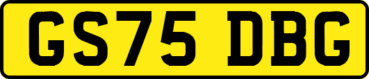 GS75DBG