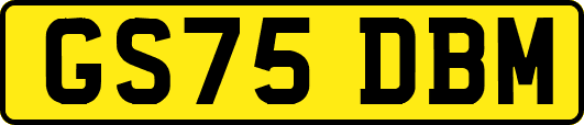 GS75DBM