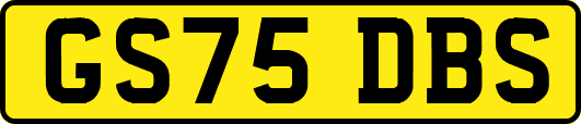 GS75DBS
