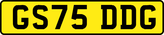 GS75DDG