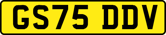 GS75DDV