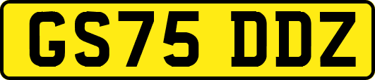 GS75DDZ