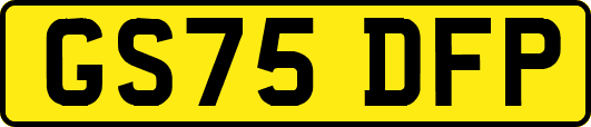GS75DFP