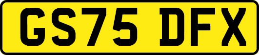 GS75DFX