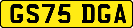 GS75DGA