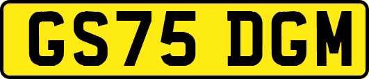 GS75DGM