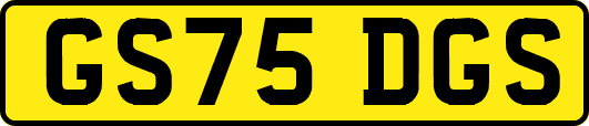 GS75DGS