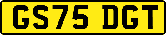 GS75DGT