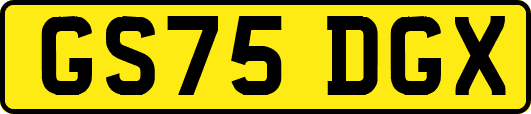 GS75DGX