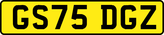 GS75DGZ