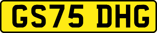 GS75DHG