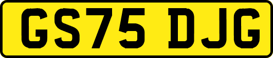 GS75DJG