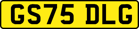 GS75DLG