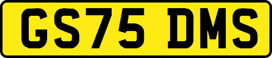 GS75DMS