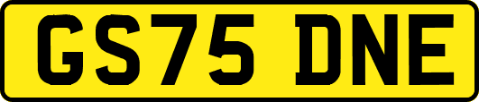 GS75DNE