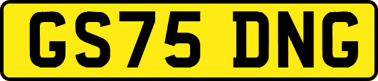GS75DNG