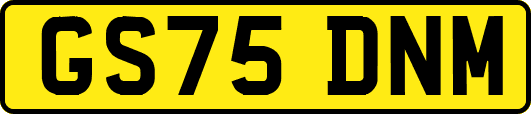 GS75DNM