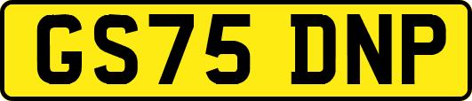 GS75DNP
