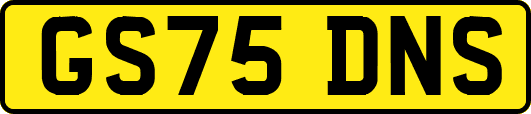 GS75DNS