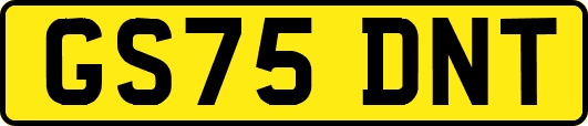 GS75DNT