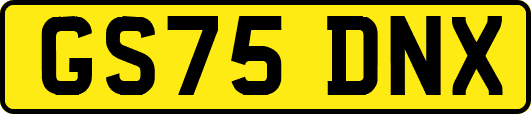 GS75DNX