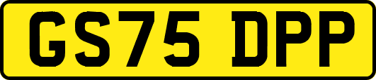 GS75DPP