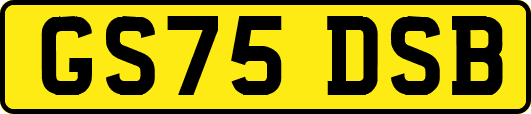 GS75DSB