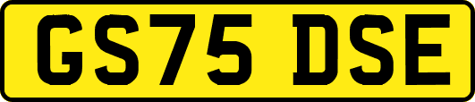 GS75DSE
