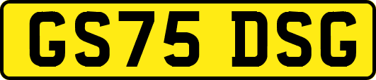 GS75DSG