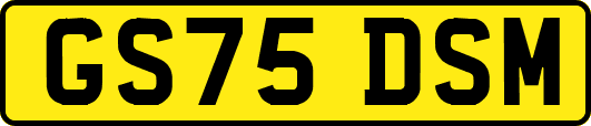 GS75DSM