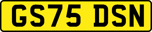 GS75DSN