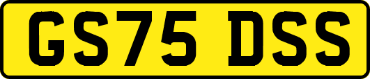 GS75DSS