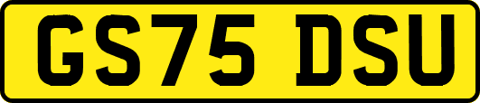 GS75DSU