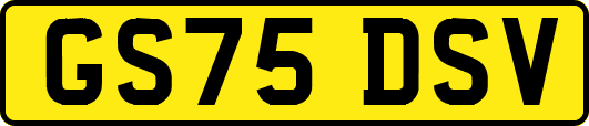 GS75DSV