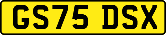 GS75DSX