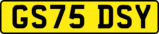 GS75DSY