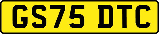 GS75DTC