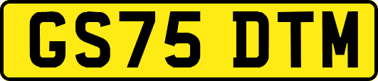 GS75DTM