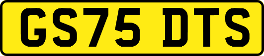 GS75DTS