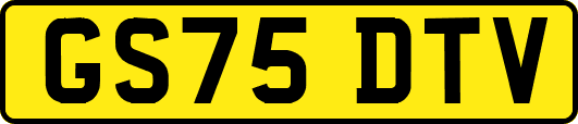 GS75DTV